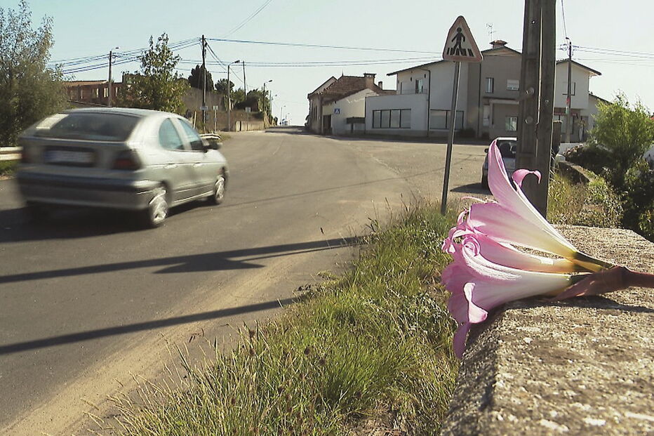 Local onde Maria Preciosa Duarte foi atropelada pelo camião do lixo