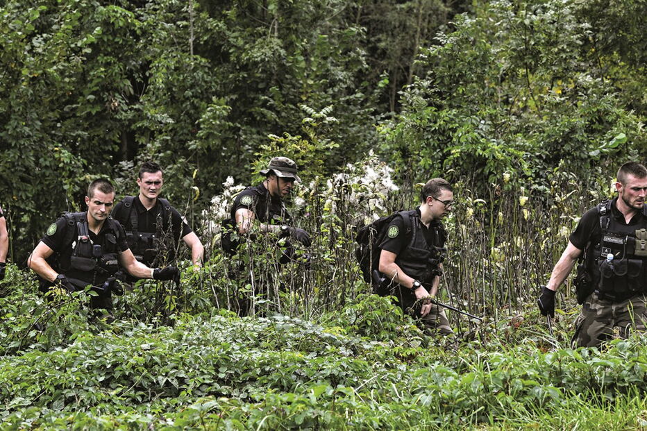 Buscas por Maëlys de Araújo