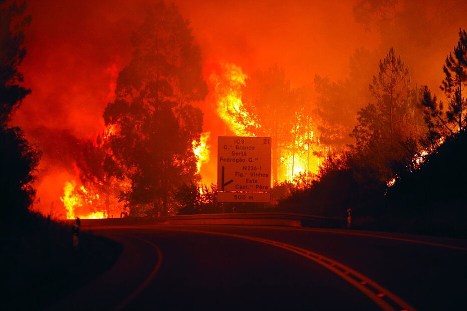Incêndio de Pedrógão Grande