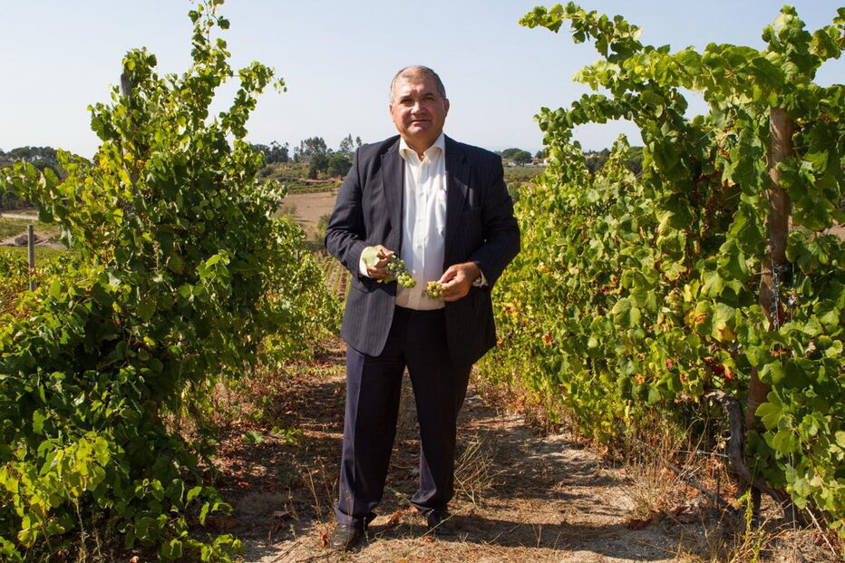 Fernando Tavares Pereira