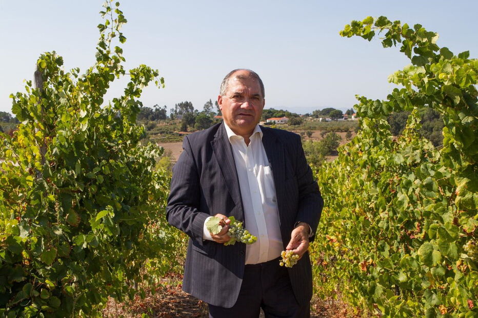 Fernando Tavares Pereira