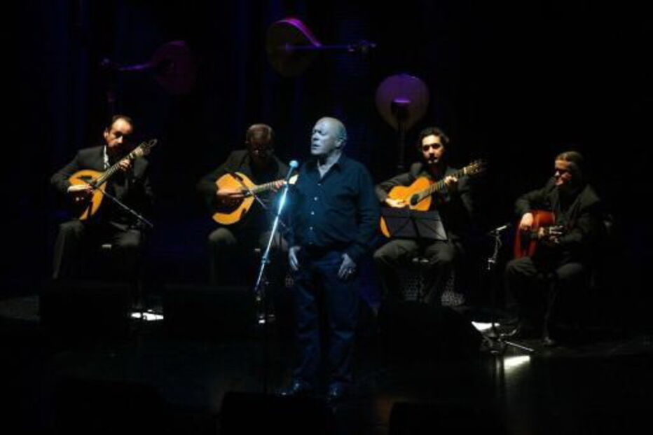 João Ferreira-Rosa, fado, fadista, música