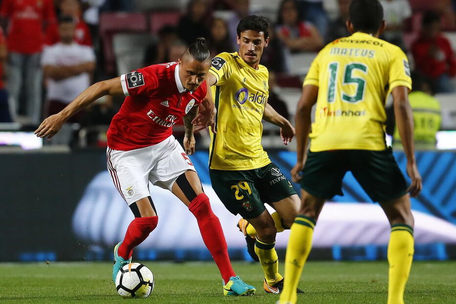 Fejsa tem-se destacado ao serviço do Benfica