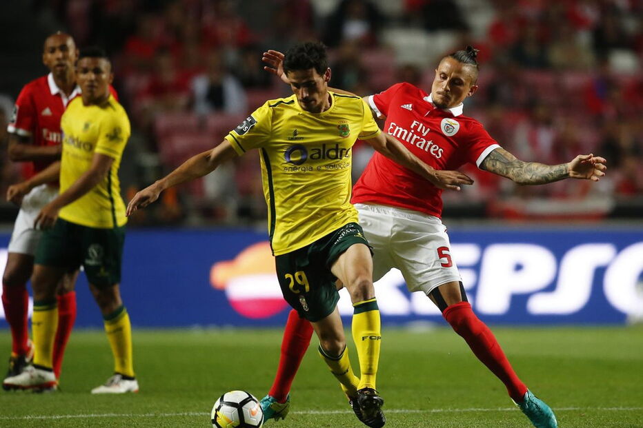 Fejsa tem-se destacado ao serviço do Benfica