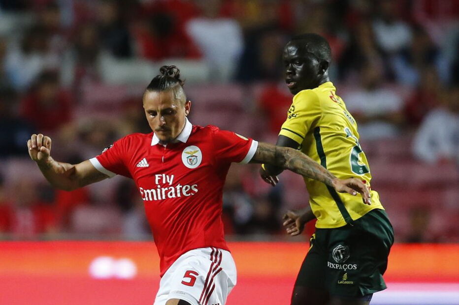 Fejsa tem-se destacado ao serviço do Benfica