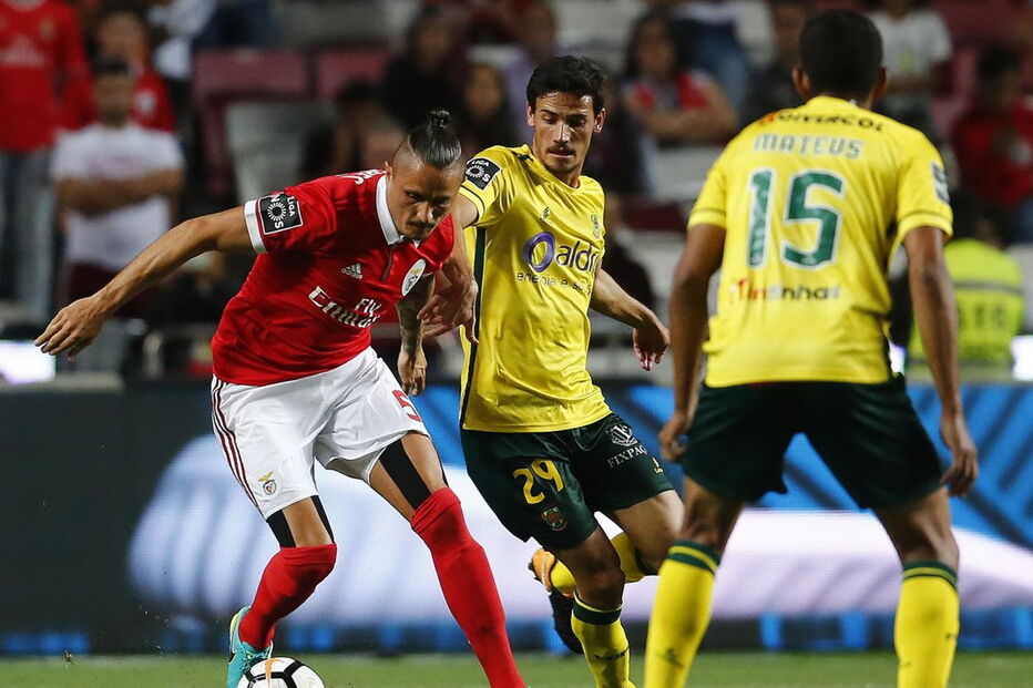 Fejsa tem-se destacado ao serviço do Benfica