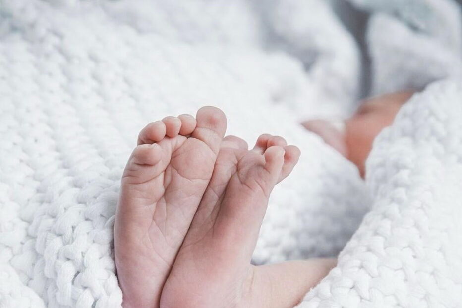 isabel dos santos, filho