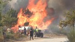 Mais de seis mil hectares de floresta consumido pelo fogo em Monção
