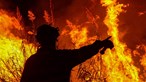Bebé de Tábua não faz parte da lista de vitimas mortais dos fogos