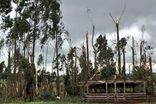 Imagens da destruição em Tupanciretã, Brasil