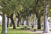 Trofa, viagens, história, destinos, Nicolau Nasoni, cultura, viagem