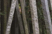 Trofa, viagens, história, destinos, Nicolau Nasoni, cultura, viagem