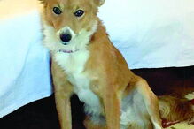 Kiko desapareceu a 30 de setembro pelas 12h00