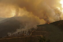 Fogo intenso alastrou aos concelhos de Pampilhosa da Serra e Arganil