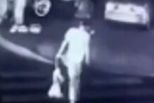 Homem foi filmado a matar cão e a livrar-se do cadáver do animal