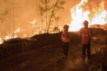 Incêndio em Ourém