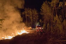 Incêndio em Ourém