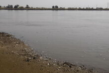 População de Vila Franca de Xira tem denunciado a situação todos os dias 