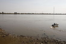 População de Vila Franca de Xira tem denunciado a situação todos os dias 