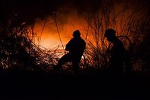 O inferno das chamas que devastou Portugal