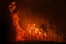 Incêndio na Lousã