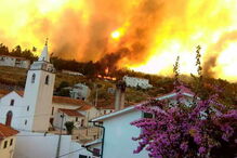 Troviscal, fogos, sertã