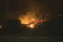 Fogo na Sertã obriga ao corte da Estrada Nacional 238
