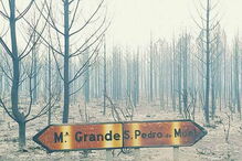 Incêndio Marinha Grande