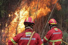 2017-10-16_16_41.49 Tiago Petinga Lusa Incendio pinhal urbana das Gaeiras, Marinha Grande.jpg