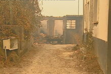 Fogo em Vila Nova de Ventosa provoca quatro mortes