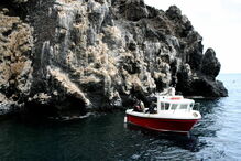 Ilha de Santa Helena já tem aeroporto
