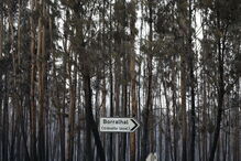 Destroços, incêndios, Portugal 