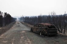 Pinhal de Leiria, Incendio