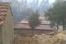 A empresa NaturApproach foi arrasada pelo fogo