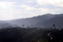 2017-10-18_13_27.46 Vista geral de uma área em Oliveira do Hospital Mariline Alves.jpg