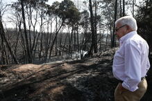 2017-10-18_13_27.48 ZONA PINHAL LEIRIA MIGUEL A. LOPES LUSA.jpg