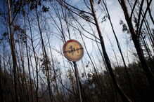 Incêndio em Penacova