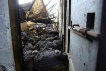 Oliveira do Hospital, incêndios