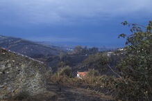 Oliveira do Hospital, incêndios