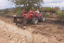 Animais queimados nos incêndios de outubro de 2017