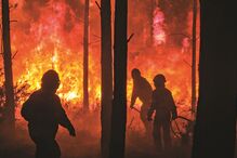 Proteção Civil não respondeu quando questionada se tem previsto um reforço e pré-posicionamento de meios nas zonas mais sensíveis 