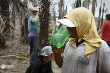 Documentário revelou escravatura na fábrica que produz cera usada nos ursinhos da Haribo