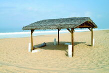 Grândola, Alentejo, cabana, Salgado, Herdade da Comporta