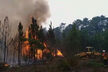 Pinhal de Leiria, herói, incêndios, redes sociais, vídeo