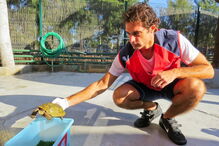 Animais foram ontem devolvidos à natureza depois de terem estado no Porto D’Abrigo do Zoomarine   