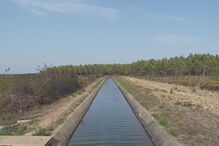 Especialistas preocupados com impactos ambientais causados pelos incêndios 