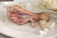 Refeições cruas e pouca quantidade de comida são algumas das queixas apresentadas pelos pais. Imagens da má qualidade das refeições foram captadas em cantinas de Oeiras, Amadora e Odivelas nos últimos dias