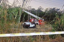 Corpo foi retirado da árvore com recurso a uma autoescada, depois de a EDP desligar a corrente elétrica        