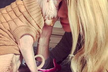 Modelo Elena Ivanickaya acusada de tortura depois de mostrar gato a ser tatuado nas redes sociais