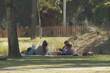Fim-de-semana começa com temperaturas mais altas